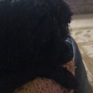 Meet your Posher, Josi